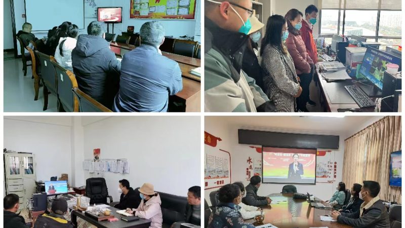 少儿编程，从入门到精通：学习路线图揭秘